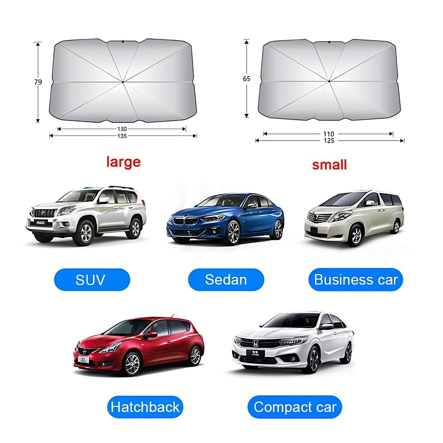 The Windshield Umbrella™